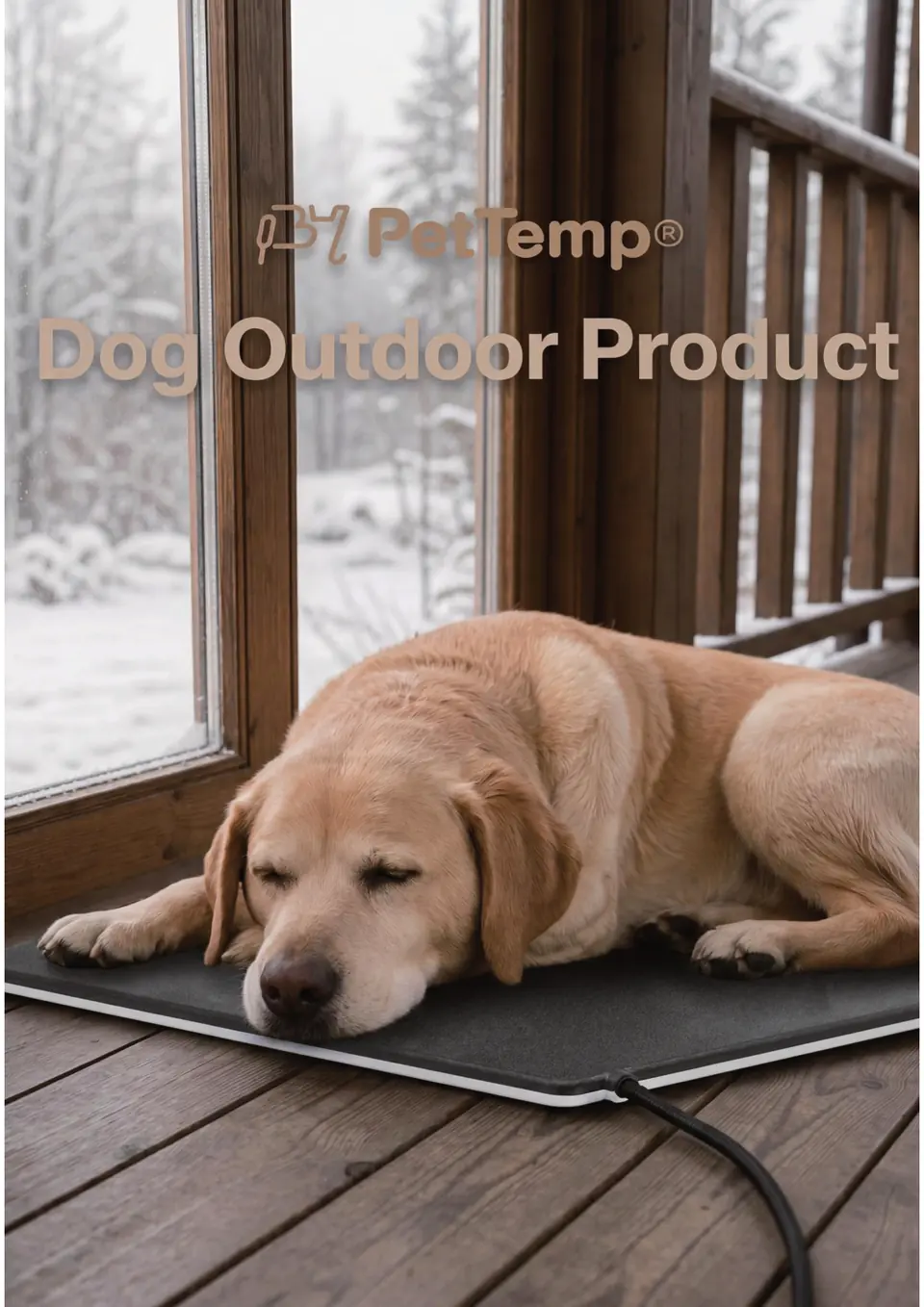 PetTemp Product Catalog page 22